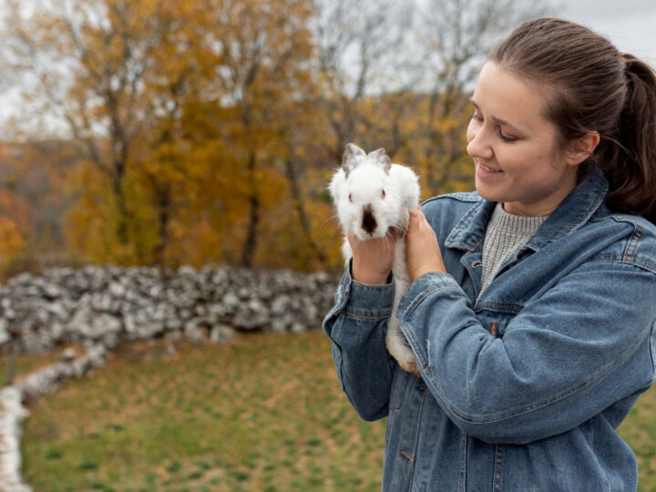 Como a inovação molda o aprendizado de quem cuida da vida animal