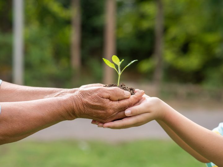 Sustentabilidade deixa de ser tendência e passa a ser exigência no mundo corporativo