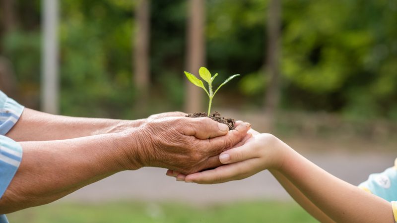 Sustentabilidade deixa de ser tendência e passa a ser exigência no mundo corporativo