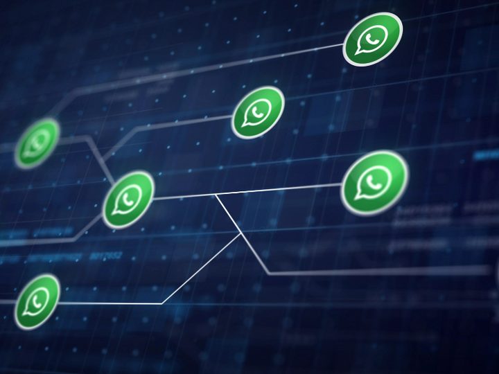 Disparo em massa no WhatsApp começa pela qualidade da base