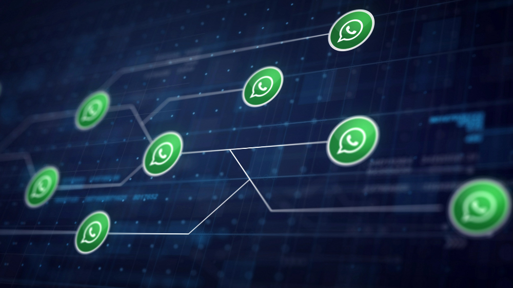 Disparo em massa no WhatsApp começa pela qualidade da base